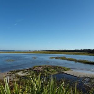 Meet your Posher, Janice